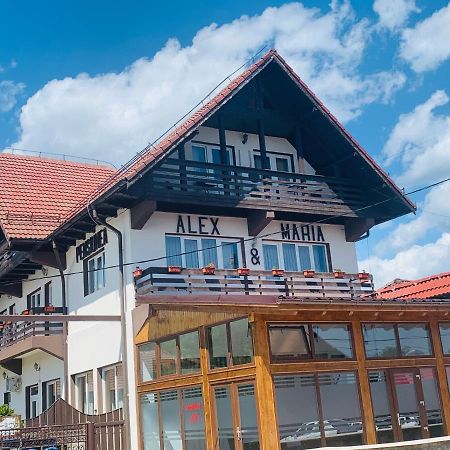 Hotel Alex & Maria Cărpinişu Exterior foto