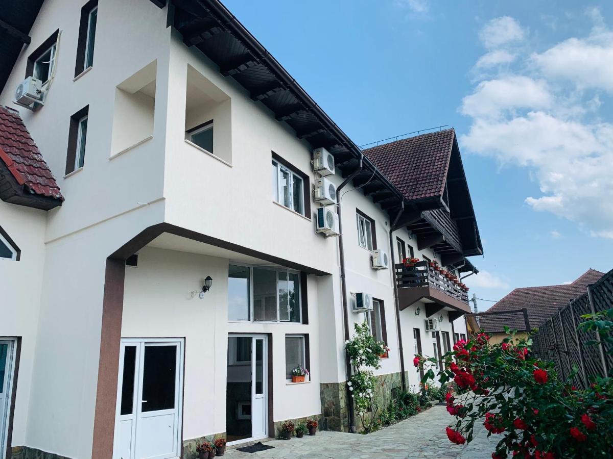 Hotel Alex & Maria Cărpinişu Exterior foto