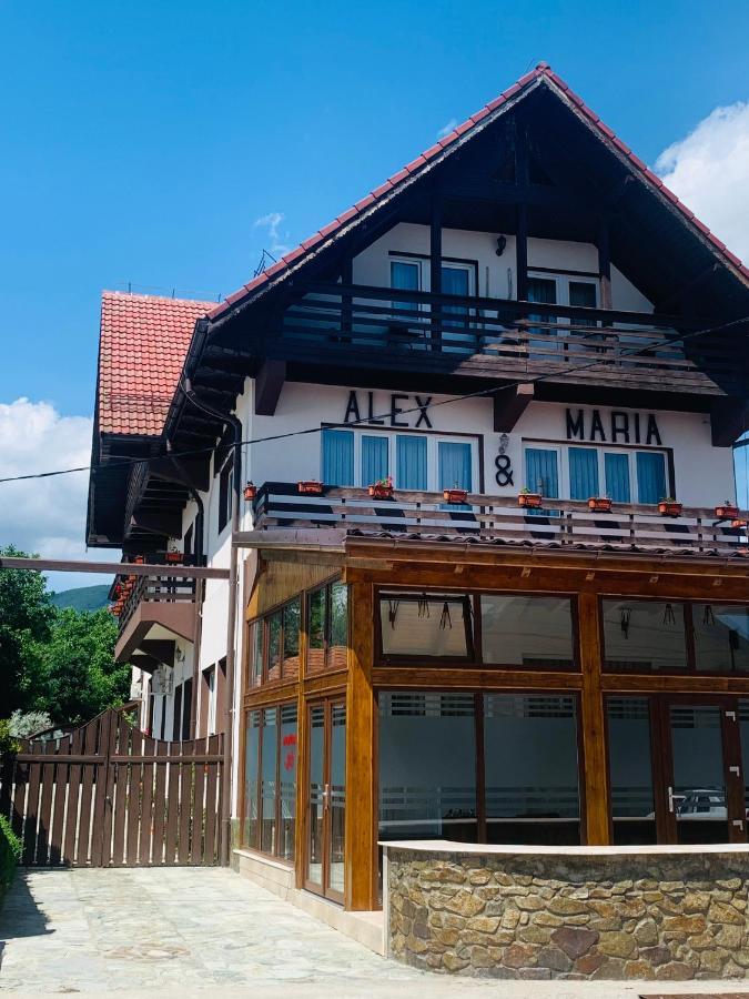 Hotel Alex & Maria Cărpinişu Exterior foto