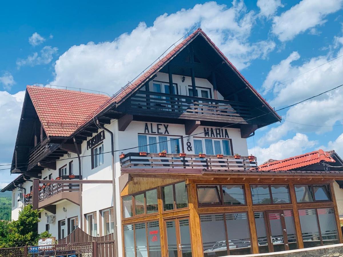 Hotel Alex & Maria Cărpinişu Exterior foto